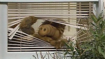 ALF : Kinoposter