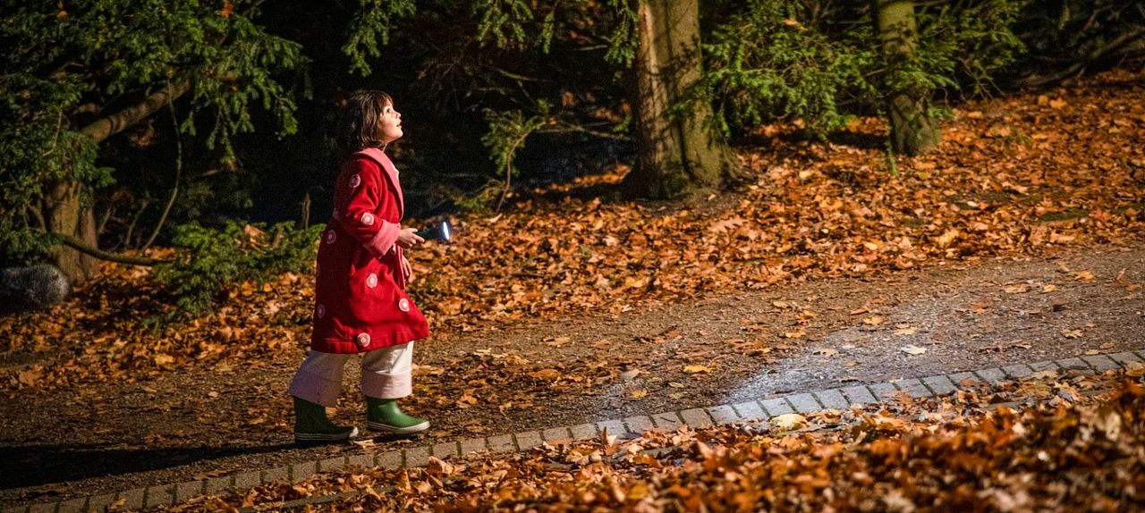 Lauras Stern : Bild Emilia Kowalski