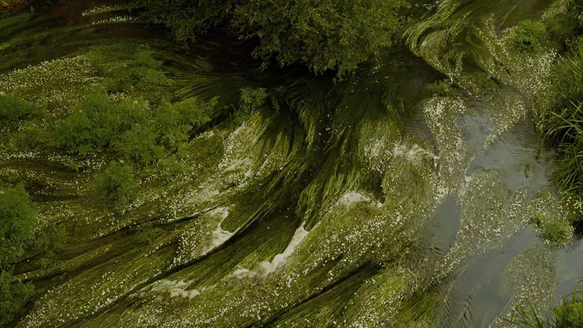 Red Moon Tide : Bild