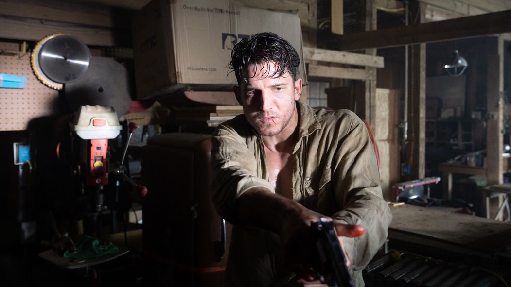 Survive The Night : Bild