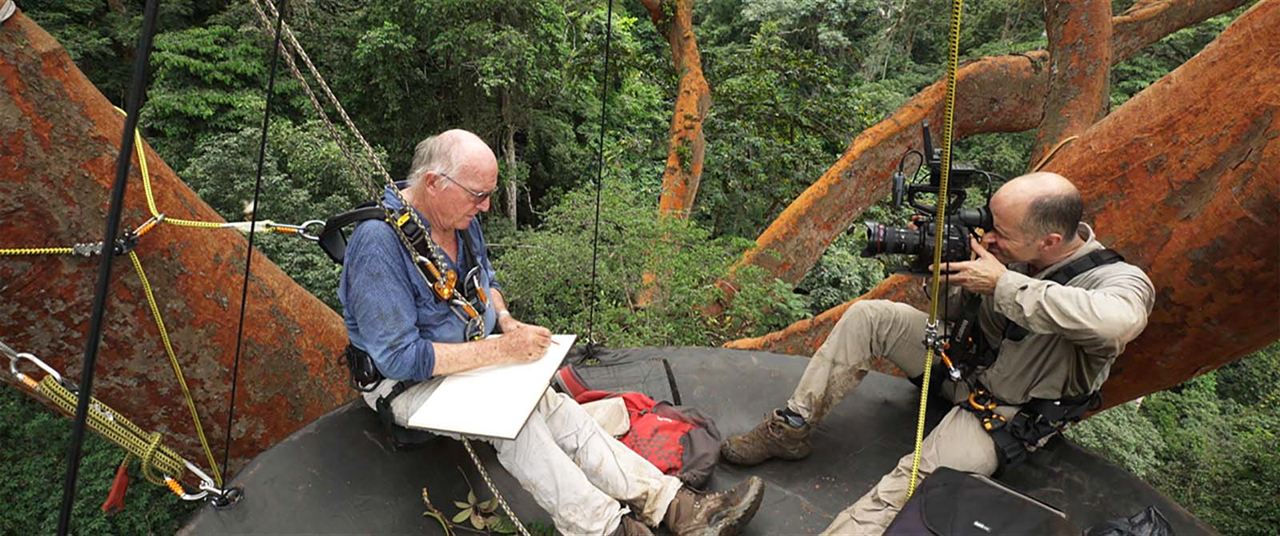 Bild Luc Marescot, Francis Hallé