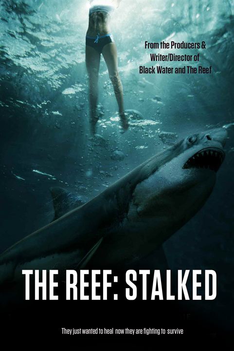 The Reef 2: Stalked : Kinoposter