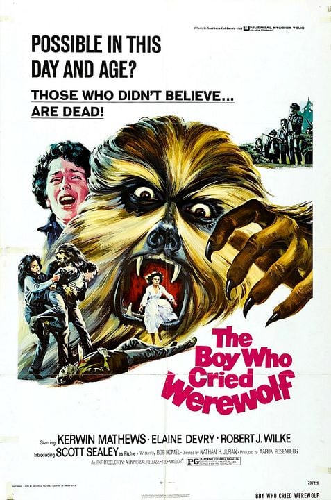 Ein Junge schrie Werwolf : Kinoposter