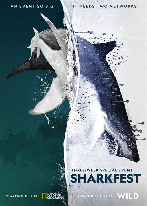 Mensch vs. Hai : Kinoposter