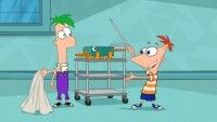 Disney Phineas und Ferb : Kinoposter