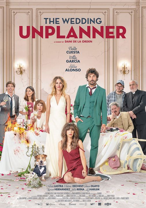 The Wedding (Un)planner - Heirate wer kann! : Kinoposter