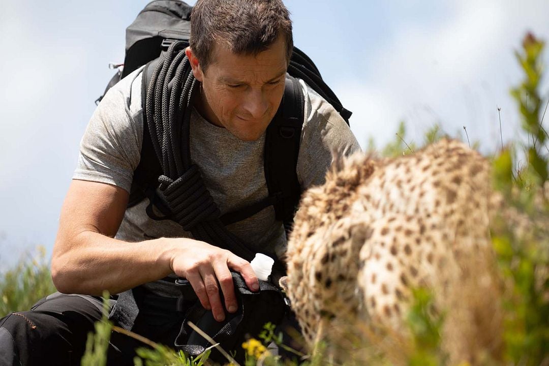 Du gegen die Wildnis – Der Film : Bild Bear Grylls