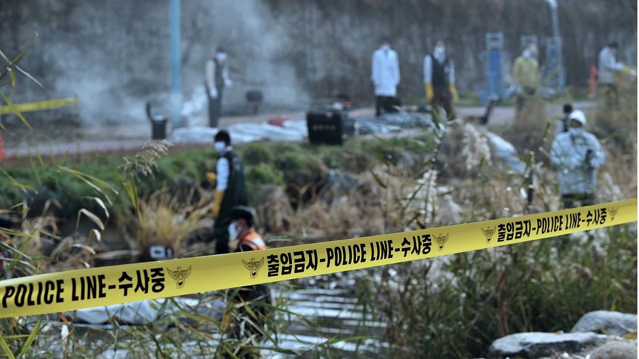 Contamination - Tödliche Parasiten : Bild