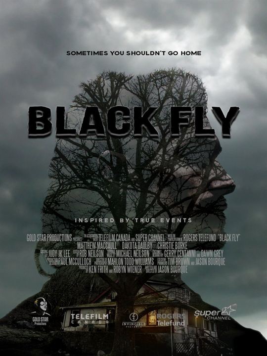 Black Fly : Kinoposter
