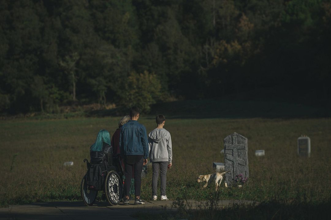 Bild Álvaro Requena