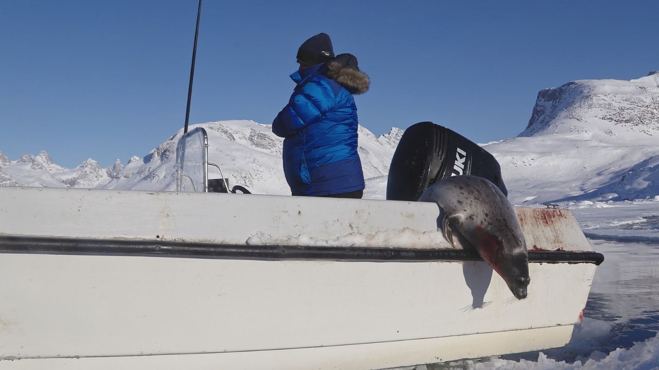 The Red House - Das rote Haus : Bild