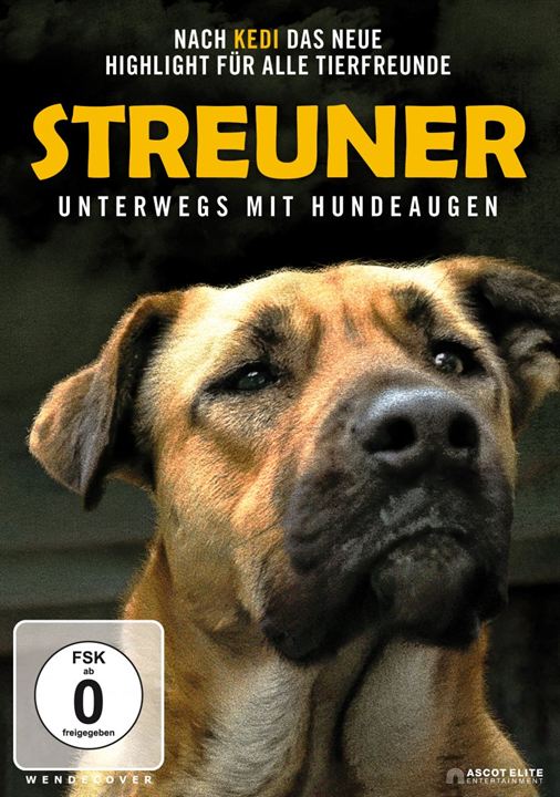 Streuner - Unterwegs mit Hundeaugen : Kinoposter