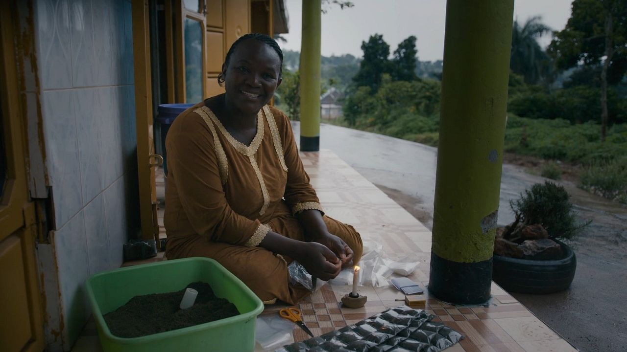 Das Fieber – Der Kampf gegen Malaria : Bild