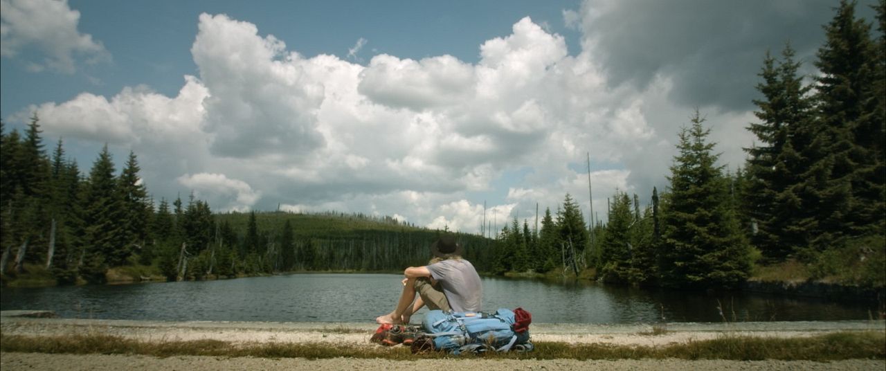 Der wilde Wald - Natur Natur sein lassen : Bild