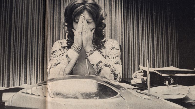 The Lady and the Dale : Bild