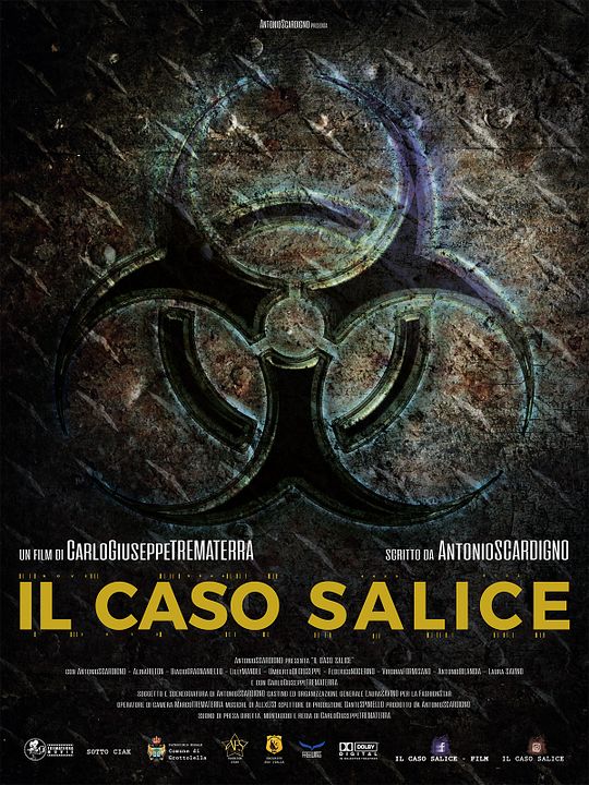 Der Salice Fall - Il caso Salice : Kinoposter