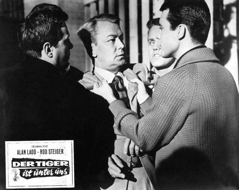 Der Tiger ist unter uns : Bild