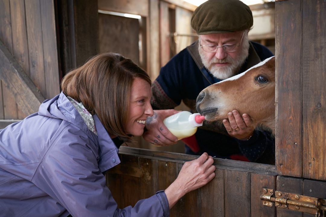 Dream Horse : Bild Toni Collette, Owen Teale