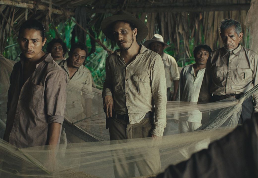 Tragic Jungle : Bild