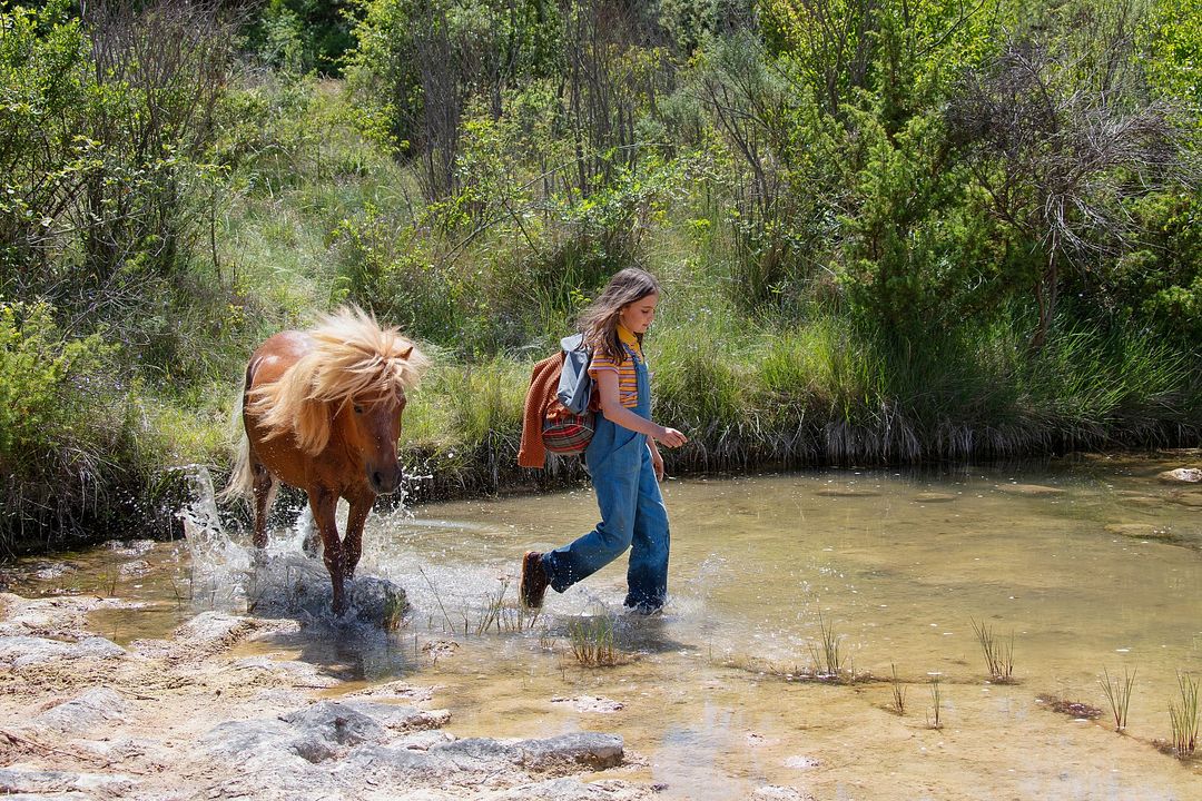 Mein Freund Poly : Bild Elisa de Lambert