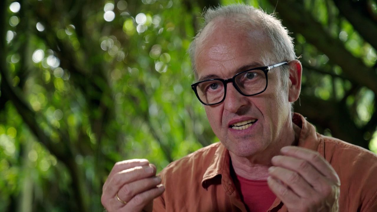 Wurzeln des Überlebens : Bild