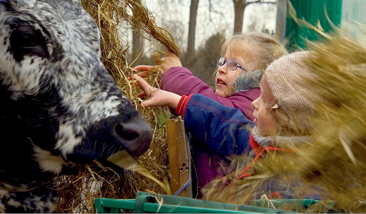 Homo Communis - wir für alle : Bild