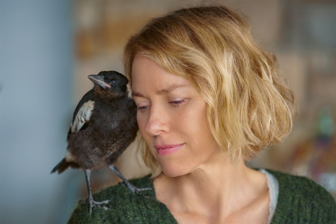 Beflügelt – Ein Vogel namens Penguin Bloom : Bild Naomi Watts