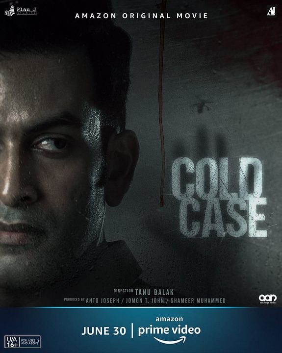 Cold Case : Kinoposter