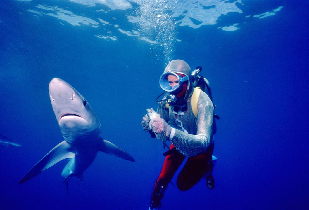 Die Freundin der Haie : Bild Valerie Taylor
