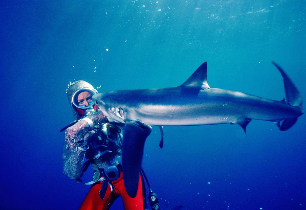 Die Freundin der Haie : Bild Valerie Taylor
