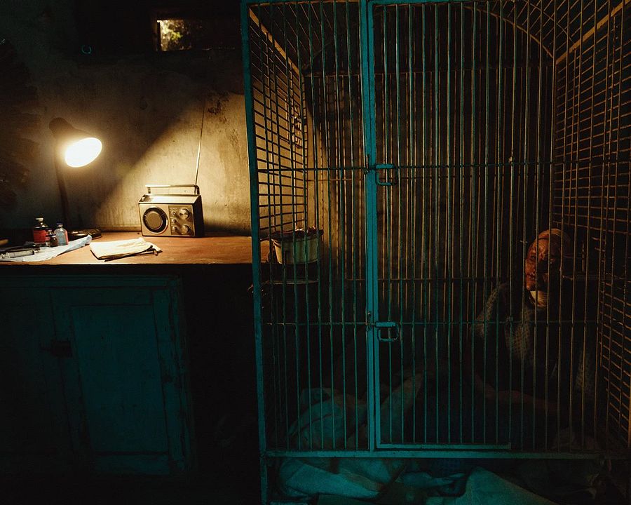 Incision - Kleine Einschnitte, große Schmerzen : Bild