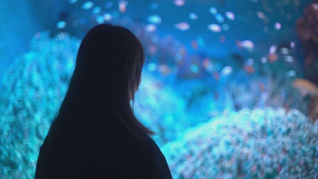 Satoshi Kon, l'illusionniste : Bild