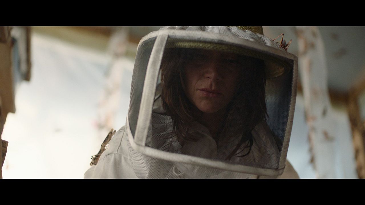 Schwarm der Schrecken : Bild