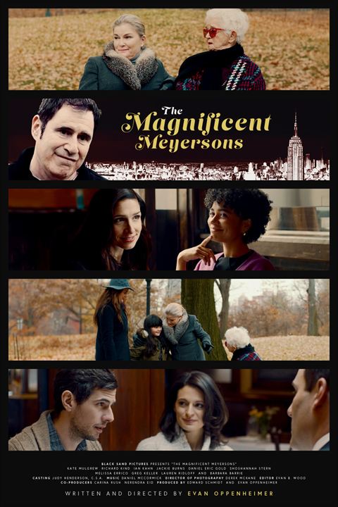The Magnificent Meyersons : Kinoposter