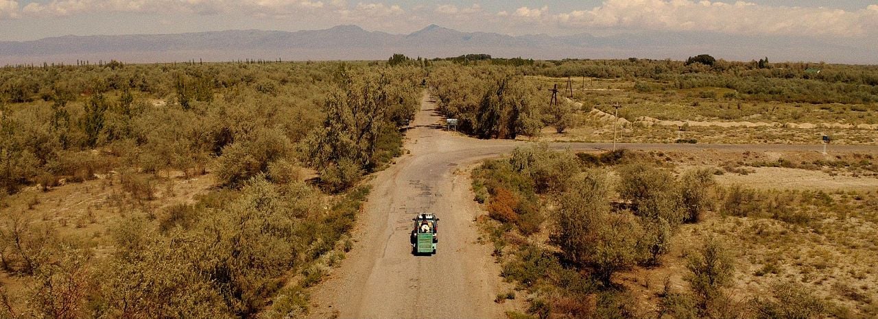 Sweetie, You Won't Believe It : Bild