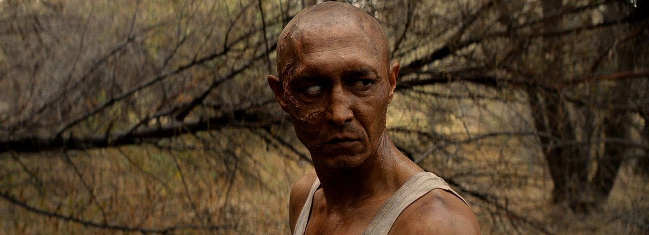 Sweetie, You Won't Believe It : Bild