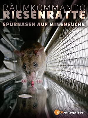 Räumkommando Riesenratte - Spürnasen auf Minensuche : Kinoposter