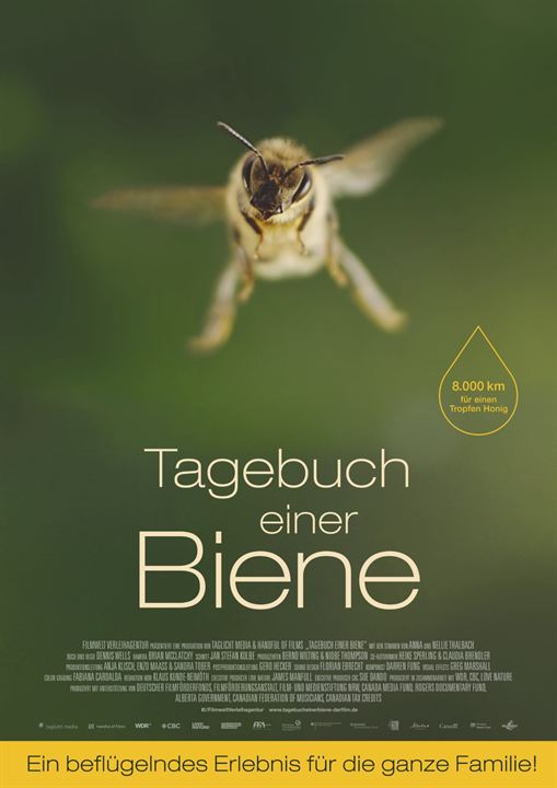 Tagebuch einer Biene : Kinoposter