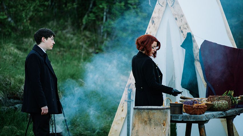 The Sunlit Night : Bild