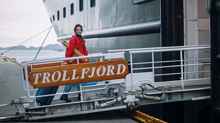 The Sunlit Night : Bild