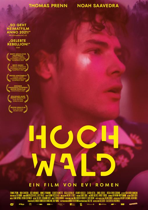 Hochwald : Kinoposter