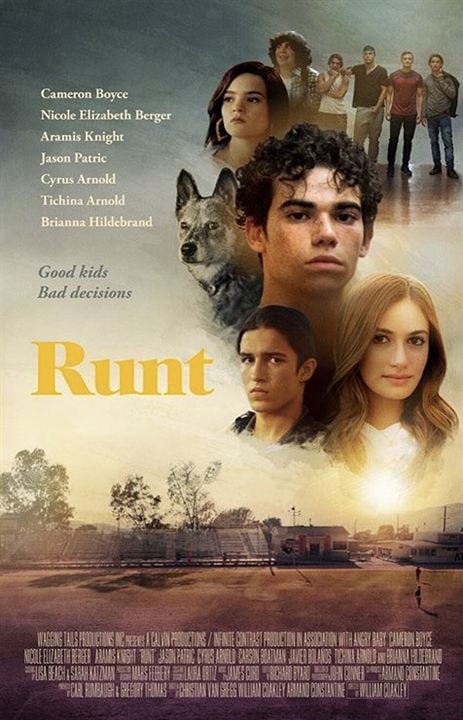 Runt : Kinoposter