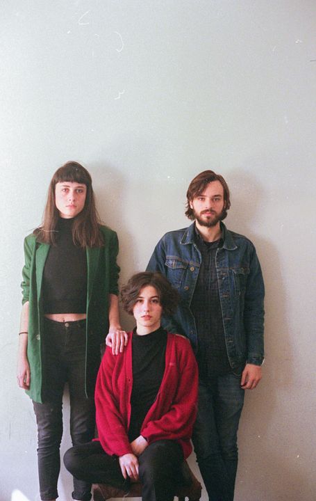 Os Pássaros de Massachusetts : Bild