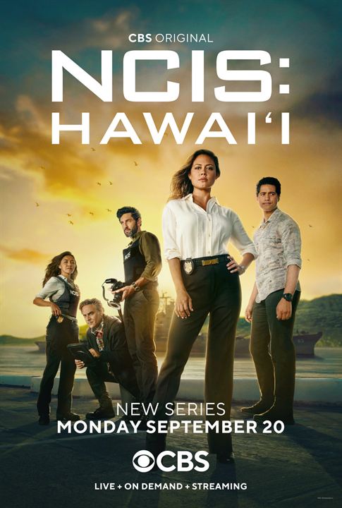 Navy CIS: Hawaii : Kinoposter