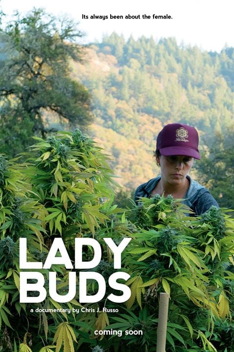 Lady Buds : Kinoposter