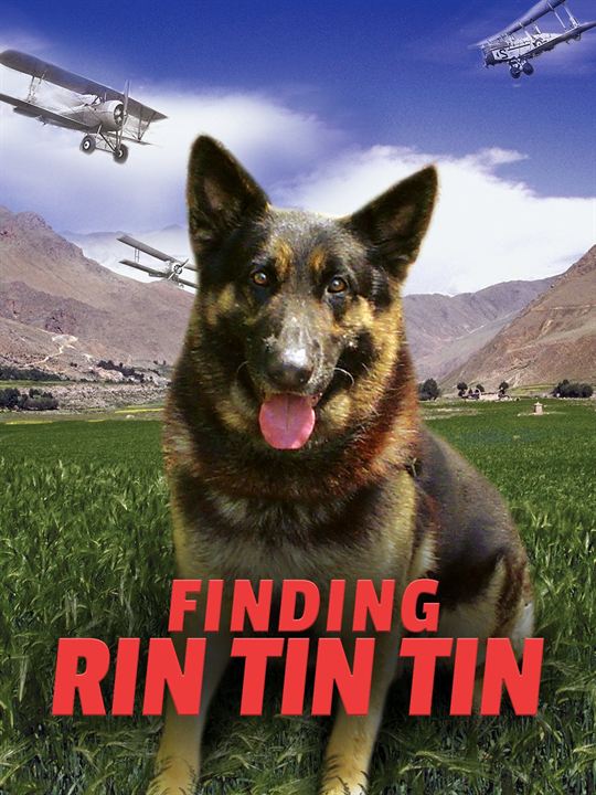 Rin Tin Tin : Kinoposter