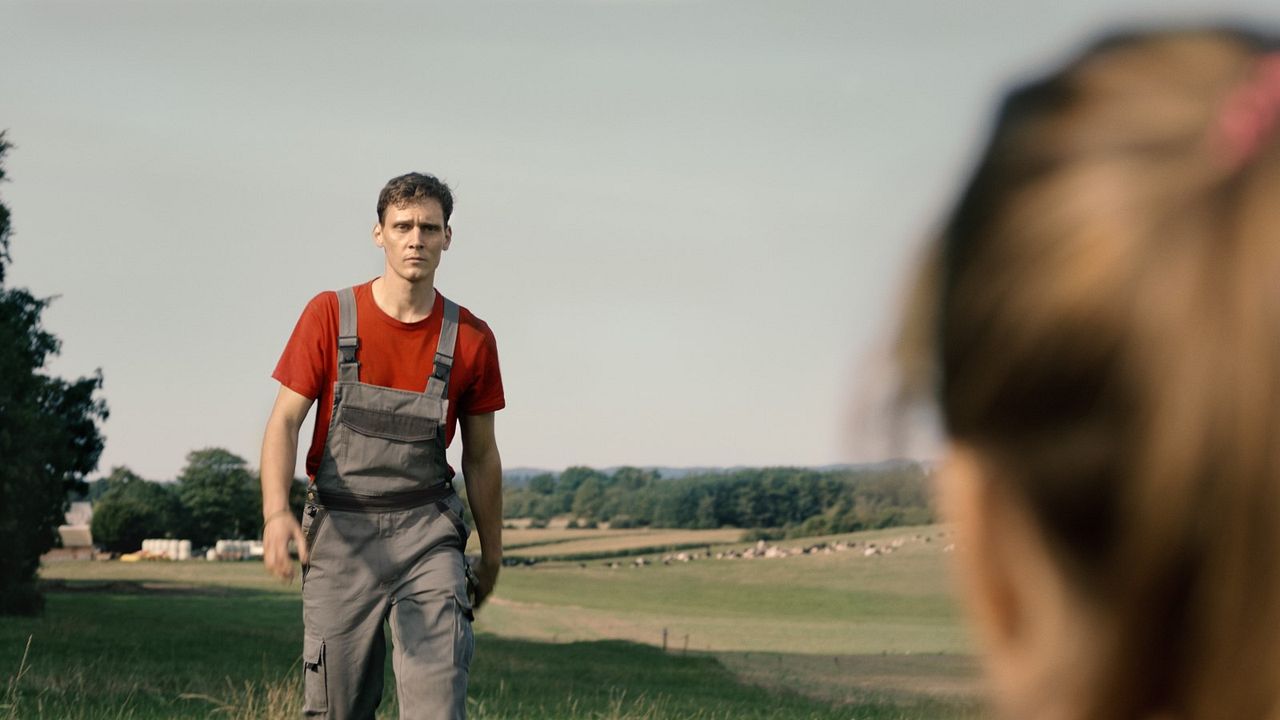 Niemand ist bei den Kälbern : Bild Rick Okon