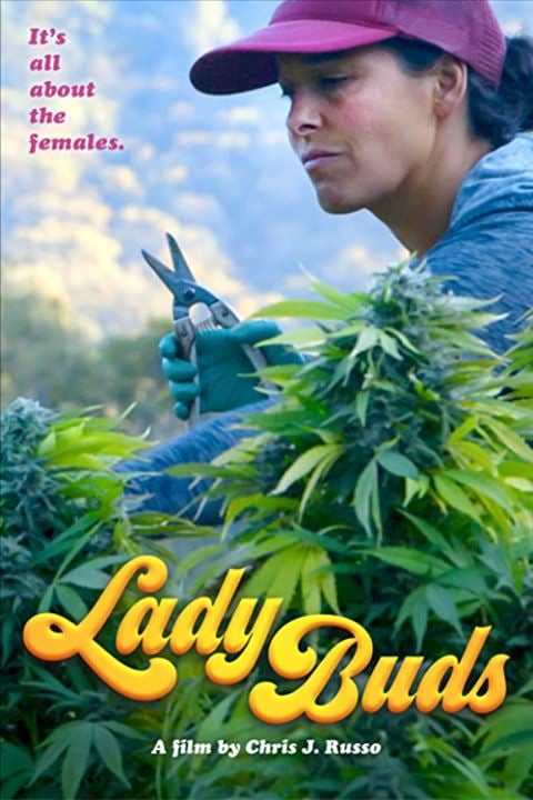 Lady Buds : Kinoposter