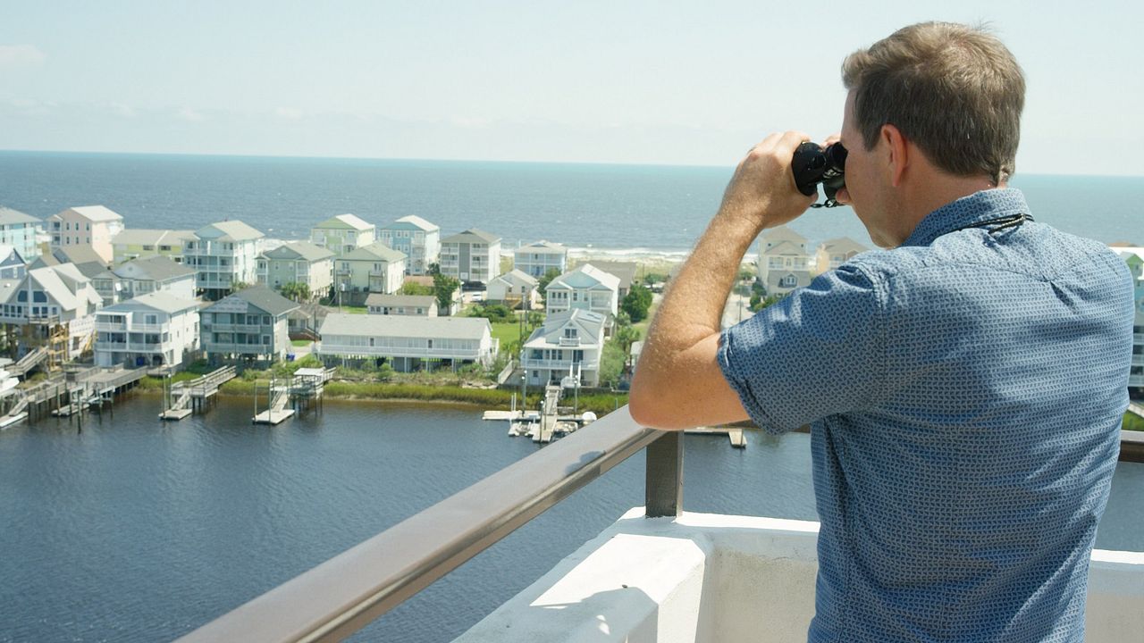 The Penthouse : Bild