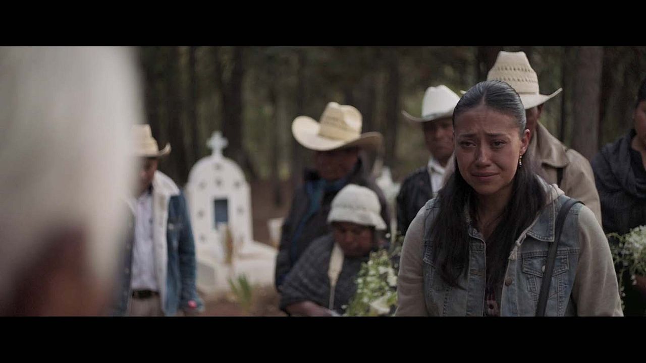 Nudo mixteco : Bild Sonia Couoh